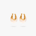 Horseshoe Earrings